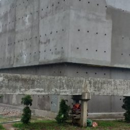Cách phòng chống rắn, tắc kè, chuột, rắn .... cho nhà yến