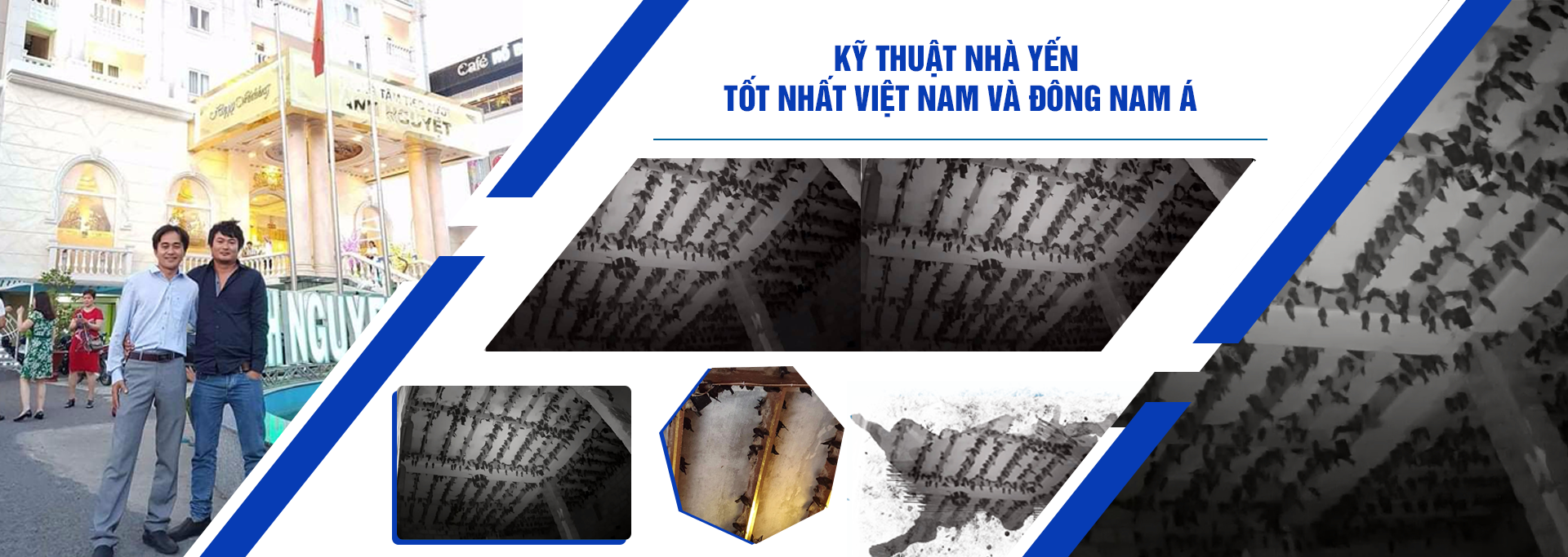 chuyên gia nhà yến